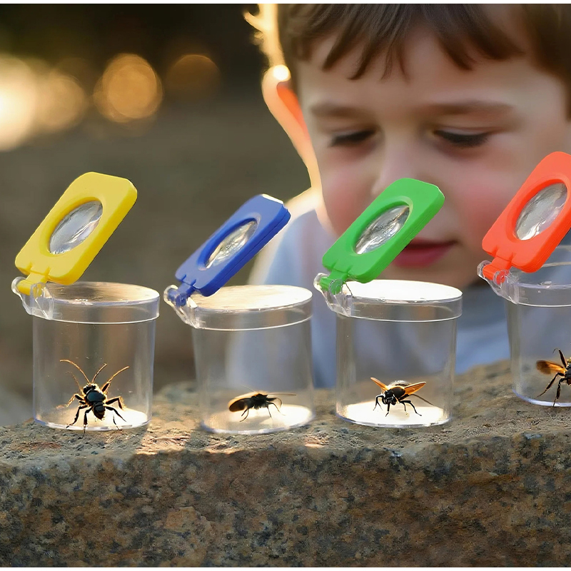 Insect Observation Box Flip-to - đánh giá và giá Outdoor Adventure Box