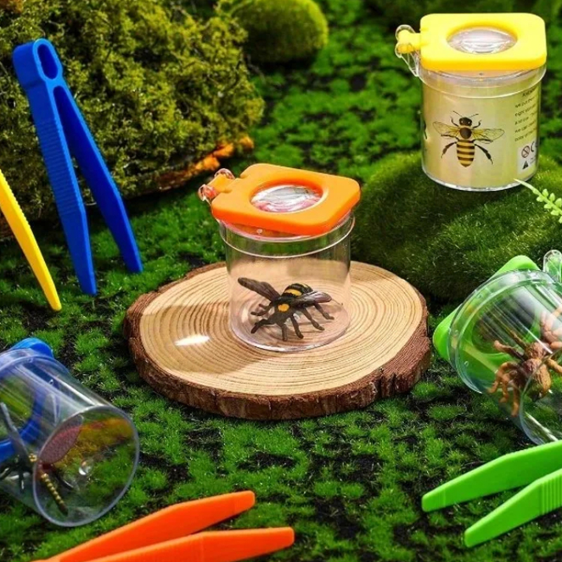 Insect Observation Box Flip-to - đánh giá và giá Outdoor Adventure Box